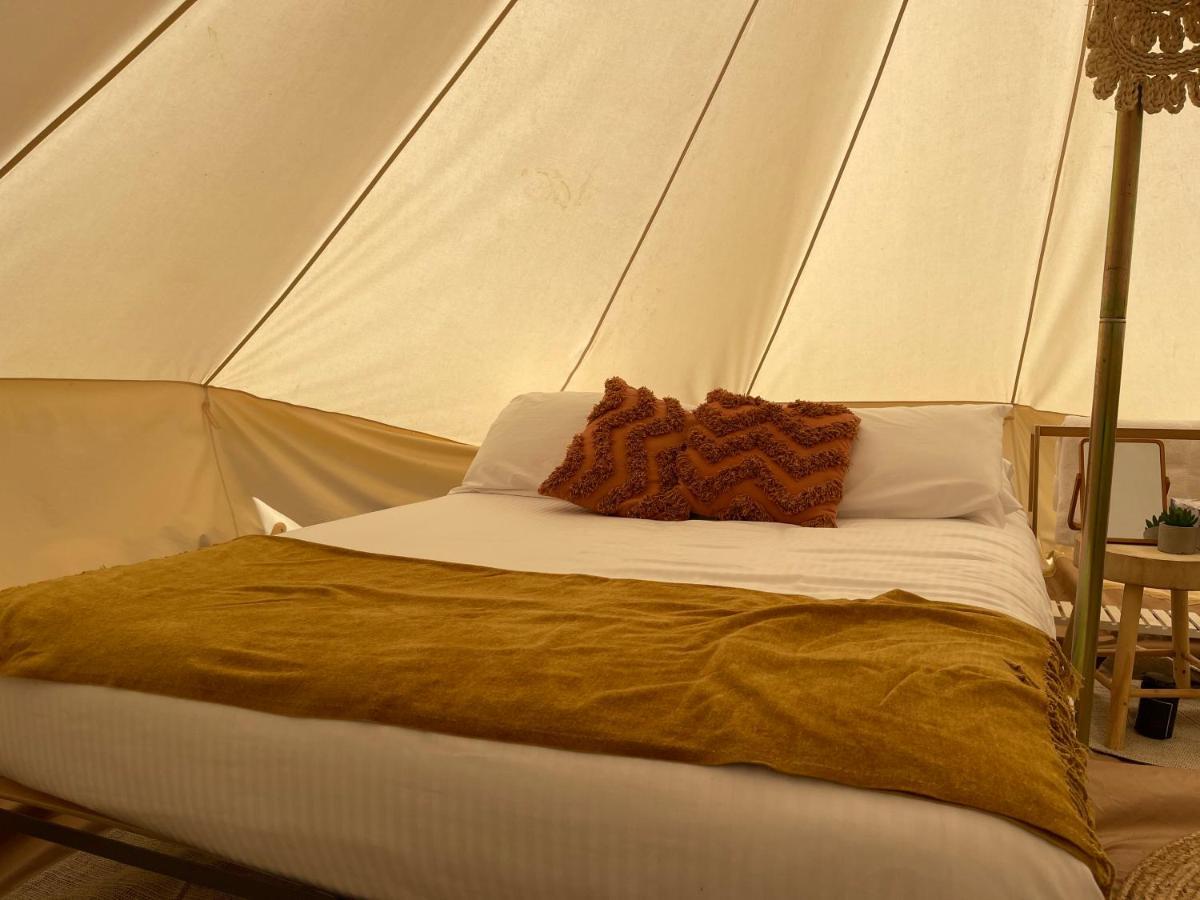 Triple Creek Guest House - Barossa Region Seppeltsfield エクステリア 写真