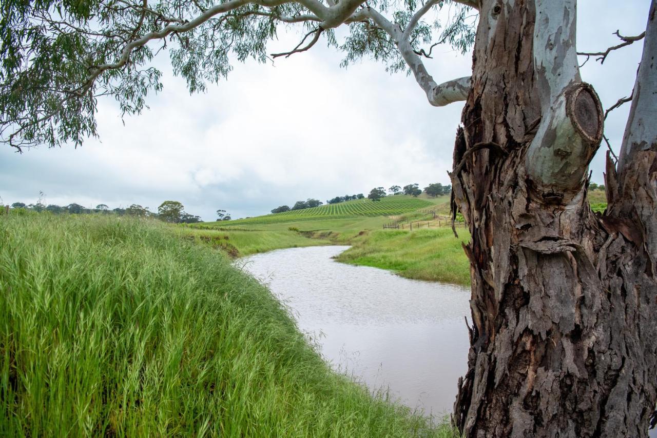Triple Creek Guest House - Barossa Region Seppeltsfield エクステリア 写真