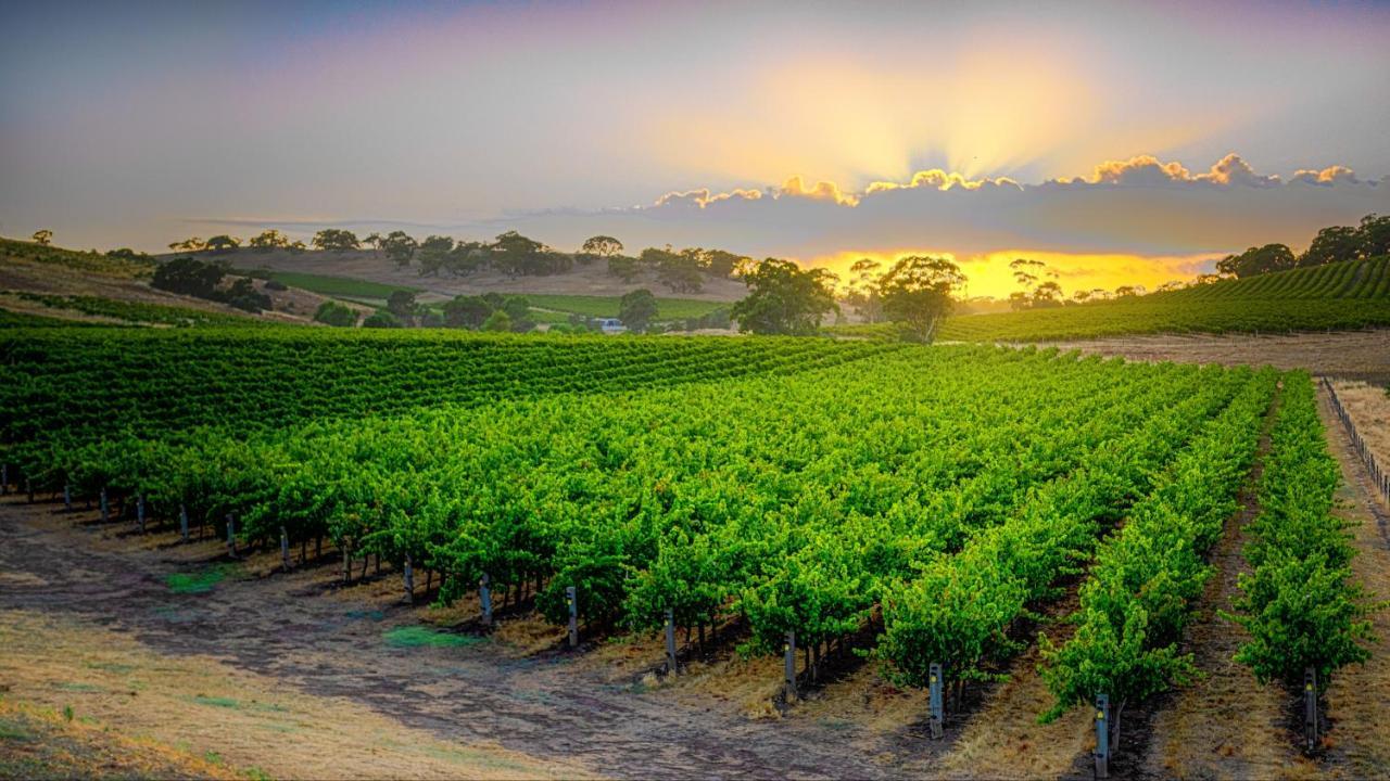 Triple Creek Guest House - Barossa Region Seppeltsfield エクステリア 写真